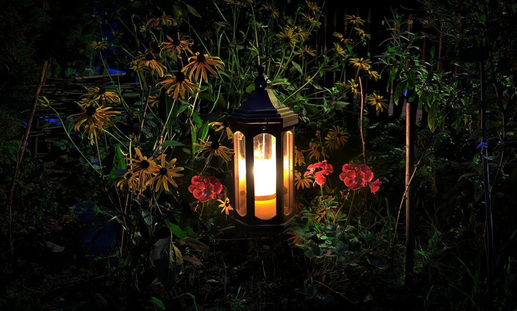 Cómo iluminar un jardín sin cables? Consejos y soluciones - PrintBoard